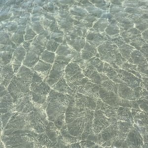 Meet your Posher, Kaylee